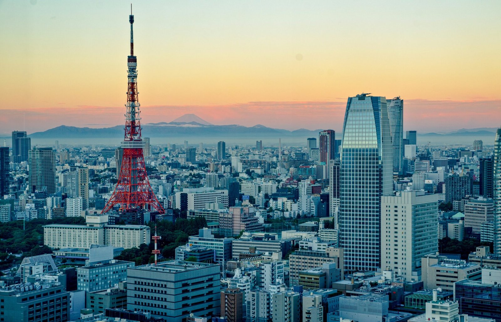 Best Tokyo Travel Guide