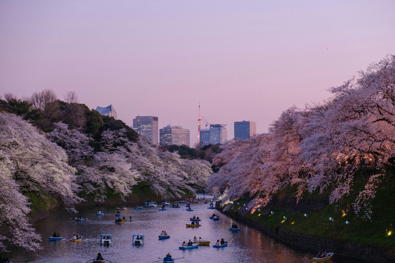 Romantic Places for couple travel in Tokyo. 
Sakura and moat in Tokyo